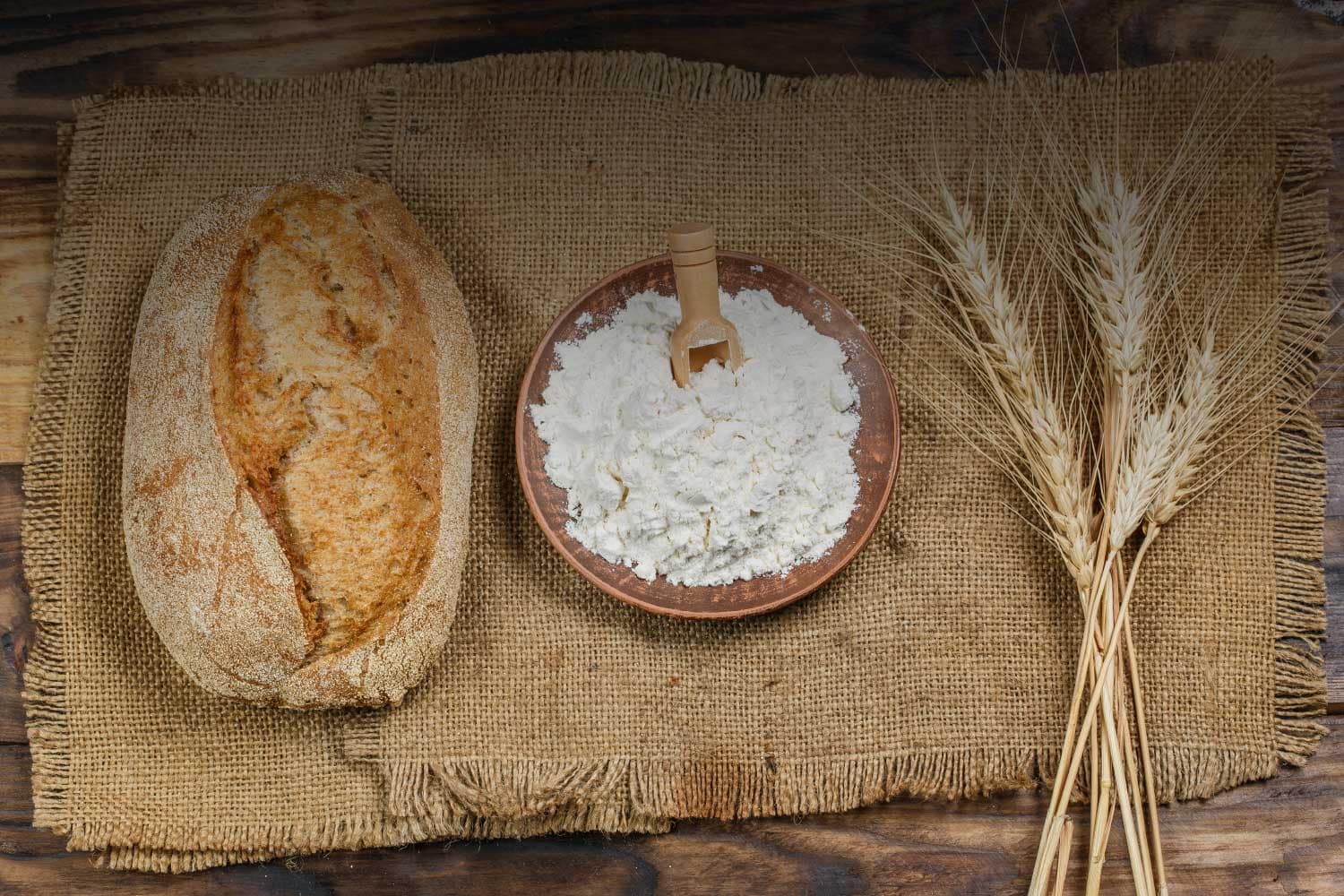 spiga-farina-grano-mulino-macinazione-lendinara-