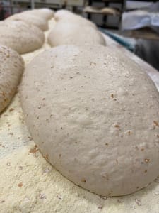 pala-romana-grane-1-fiorentini-2