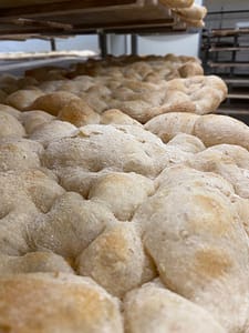 pala-romana-grane-1-fiorentini