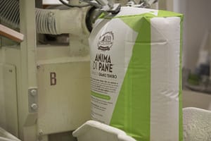 particolare-insacco particolare-insacco