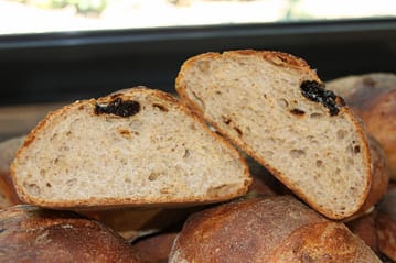pane-noce-prugne