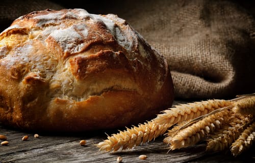 formazione in mulino