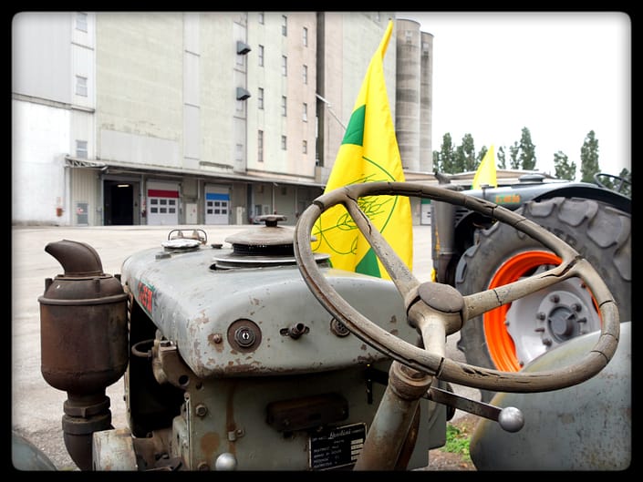 molini-porte-aperte-2019-coldiretti