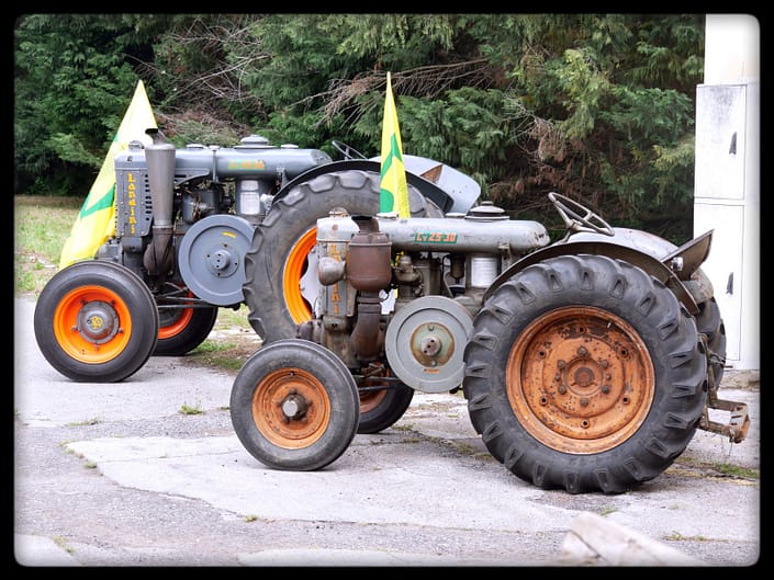 molini-porte-aperte-2019-coldiretti1