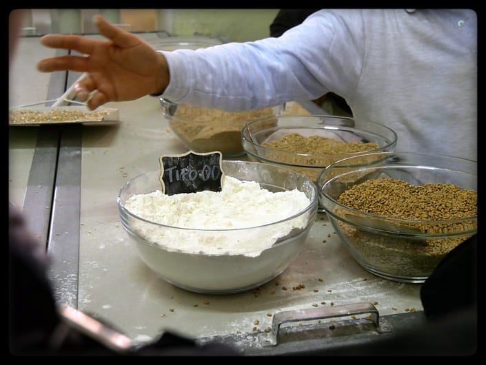 molini-porte-aperte-2019-in-mulino