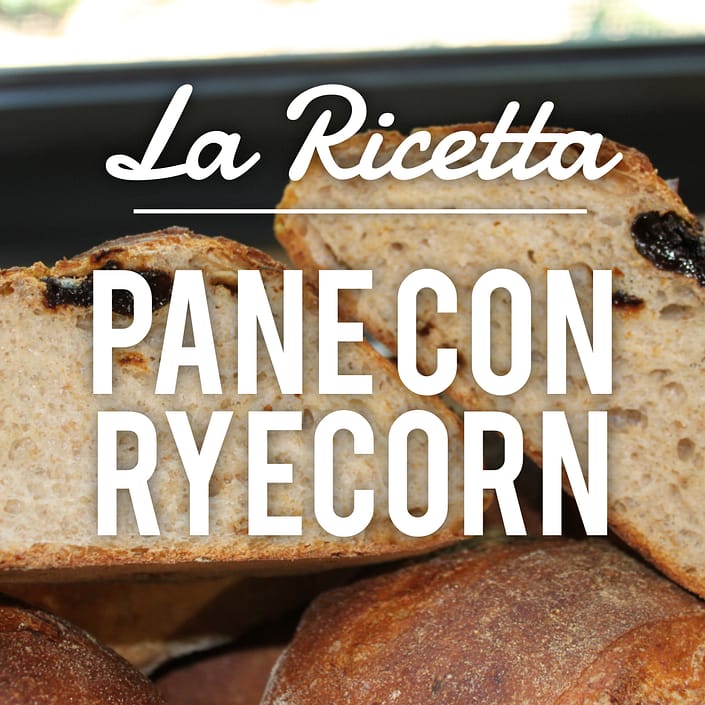 Pane-noci-prugne-ryecorn