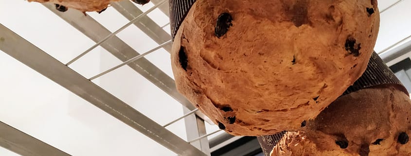 come fare il panettone artigianale